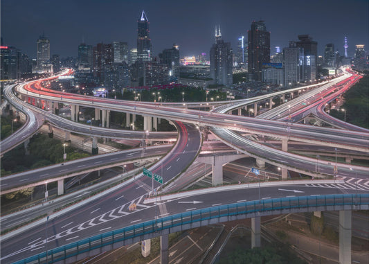 Nueve dragones | Papel Pintado Fotográfico