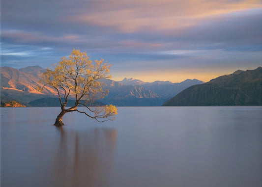 Aamun hehku | Valokuvatapetit