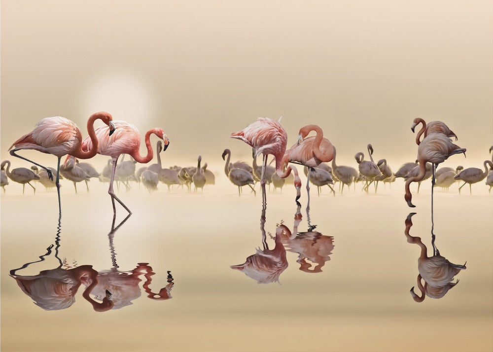FLAMINGOS | Wallpaper