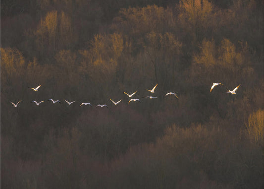 Aamun tunnelma | Valokuvatapetit