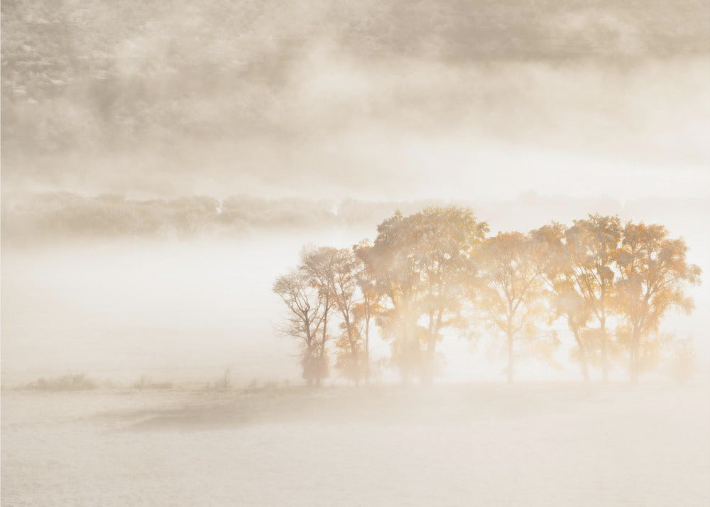 Syksyn unelmat | Valokuvatapetit