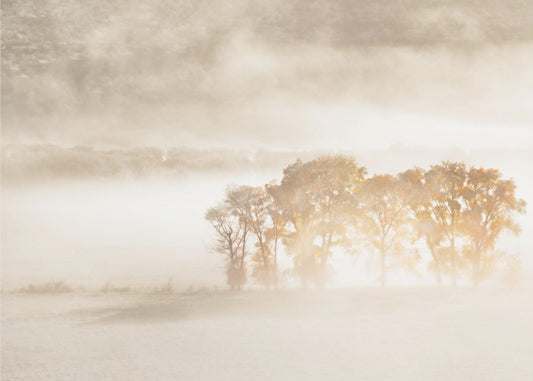 Syksyn unelmat | Valokuvatapetit