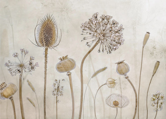 Vanheneminen | Valokuvatapetit