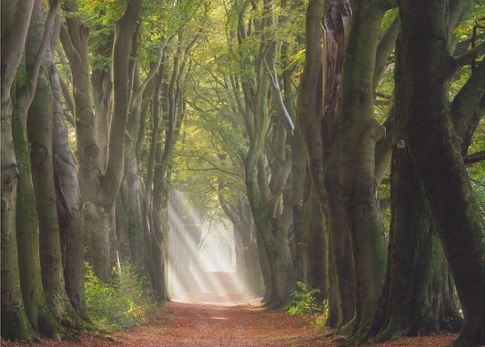 Ein herrlicher Tag | Fototapeten