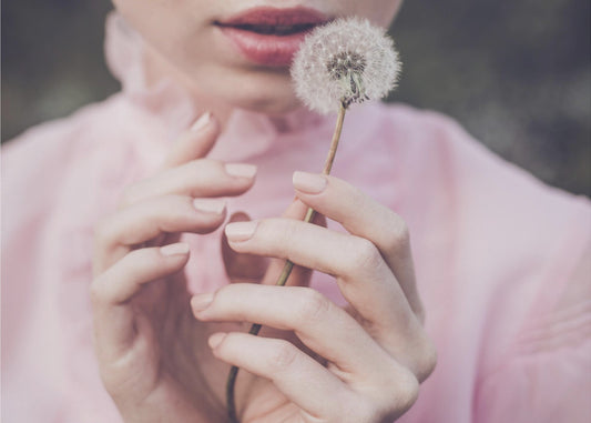 Voikukka | Canvastaulut