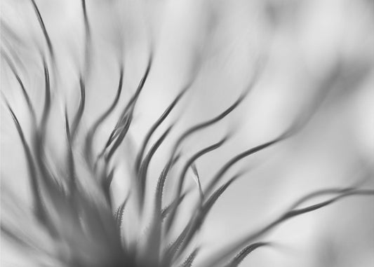 Nimetön | Valokuvatapetit