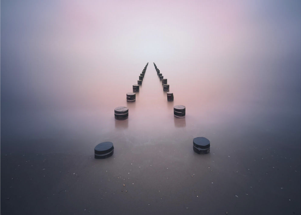 Alene i stilheden | Fototapeter