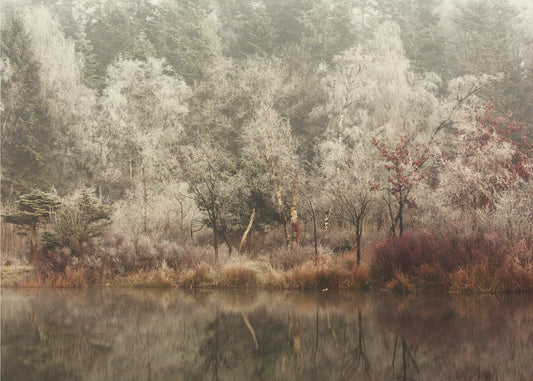 Die Eiskönigin | Fototapeten