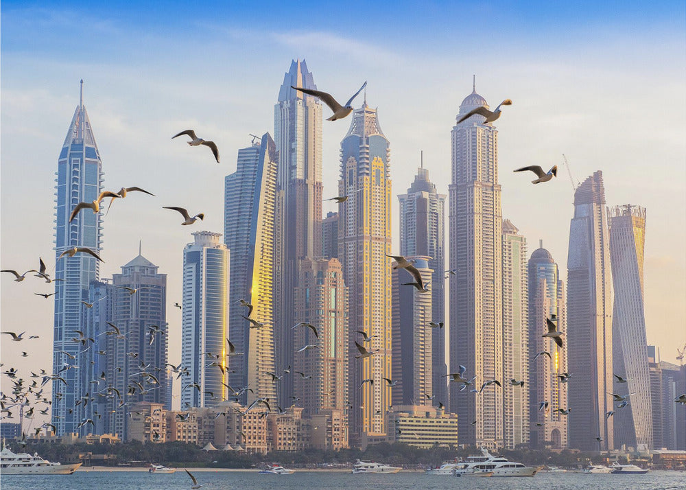 Lintunäkymä | Canvastaulut