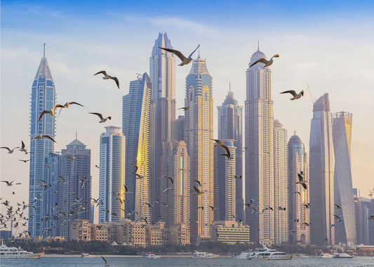 Widok z lotu ptaka | Wydruki na łótnie