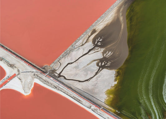 Luonnon maalaus | Julisteet - Taidevedokset