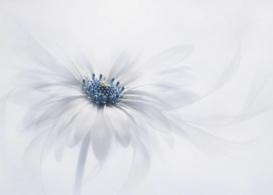 Tyyneys | Valokuvatapetit