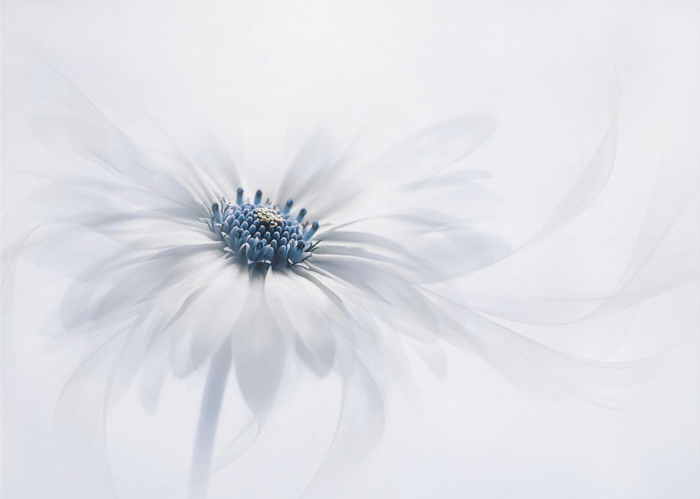 Serenidad | Papel Pintado Fotográfico