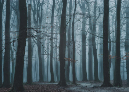 Wir alle | Fototapeten