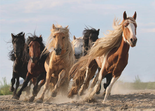 Onnekas kuusi | Valokuvatapetit