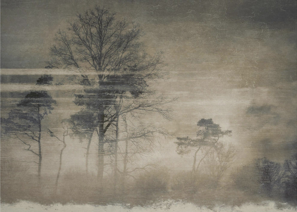 Vanha postikortti | Valokuvatapetit