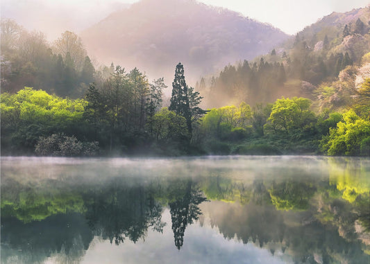 Morgenstille | Poster - Kunstdruck