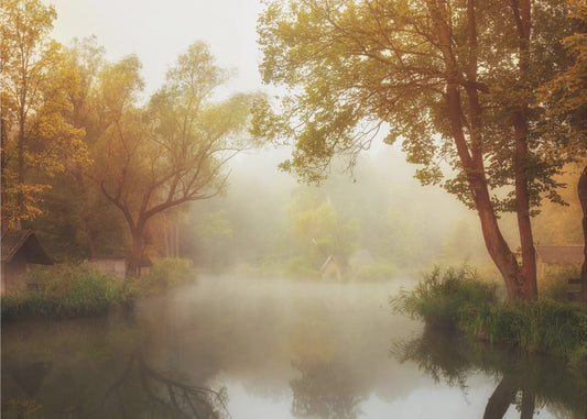 Nebliger Herbst | Fototapeten