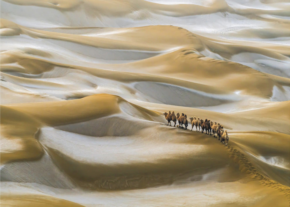 Inverno nel deserto | Carta da Parati Fotografica