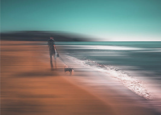 The quiet hours | Poster