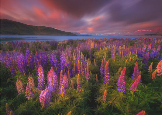 Kevätkiire | Valokuvatapetit