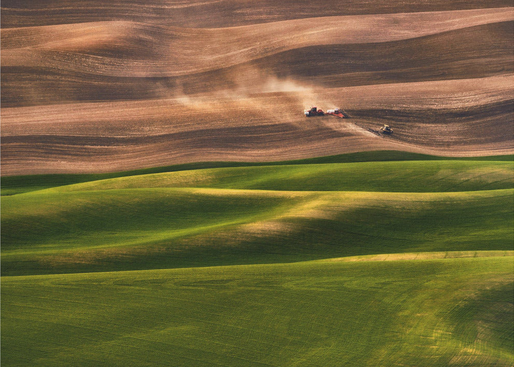 Terreno agricolo | Carta da Parati Fotografica