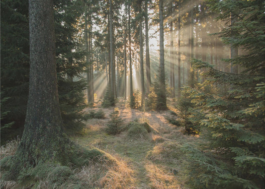 Promienie, część 2 | Wydruki na łótnie