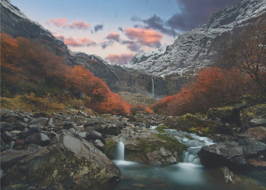 Maan kurkku | Valokuvatapetit