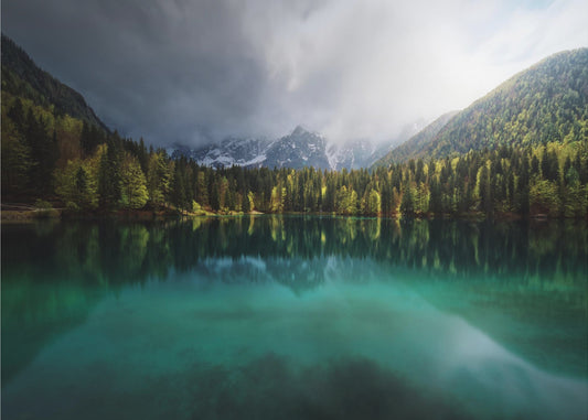 Minttu. | Valokuvatapetit