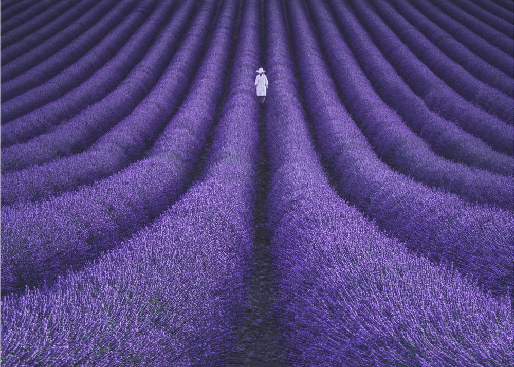 SHE | Poster