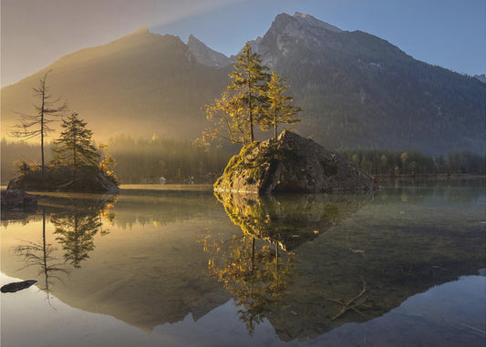 Kultainen aamu | Valokuvatapetit