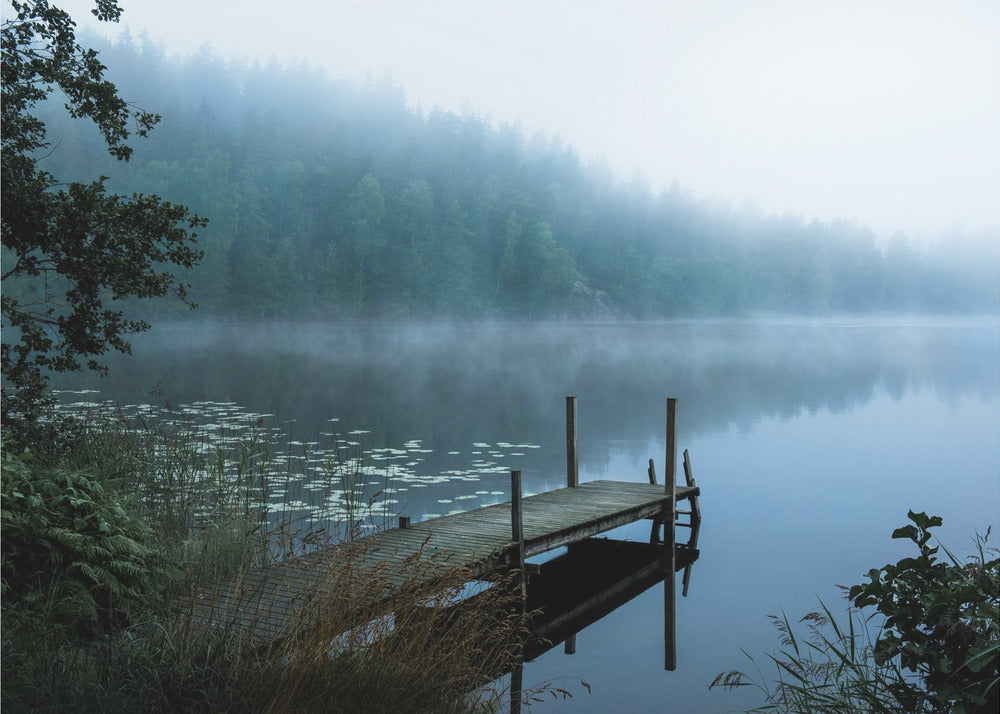 Launischer Morgen | Fototapeten