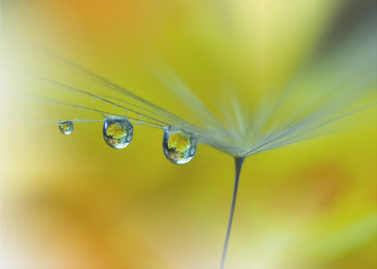 Auringonsäde...III | Valokuvatapetit