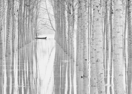 Fri bevægelighed | Fototapeter