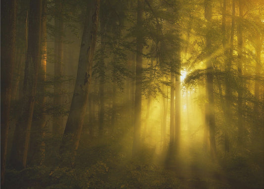 Gelb | Poster - Kunstdruck