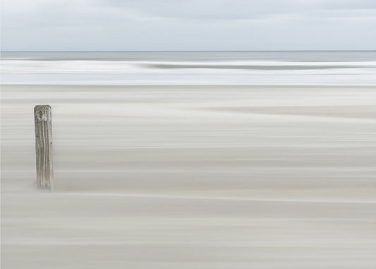 Standhaftig | Fototapeter