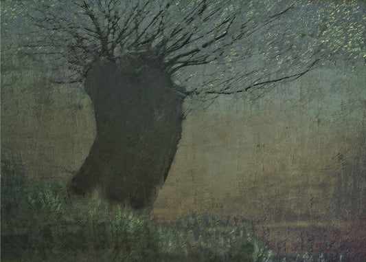 Willow on the waterfront | Poster