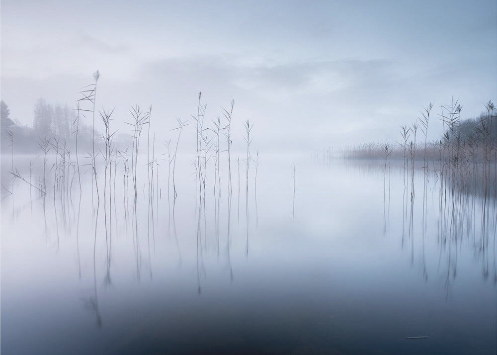 Uden titel | Fototapeter