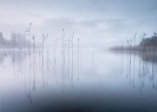 Nimetön | Valokuvatapetit