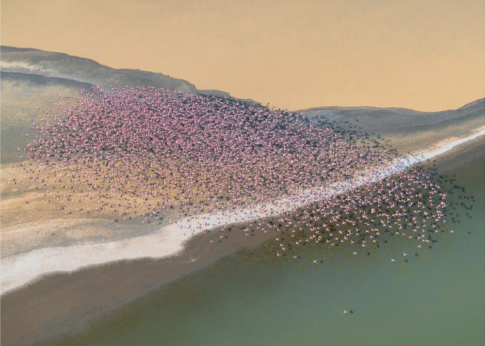 Tuulen viemää | Valokuvatapetit