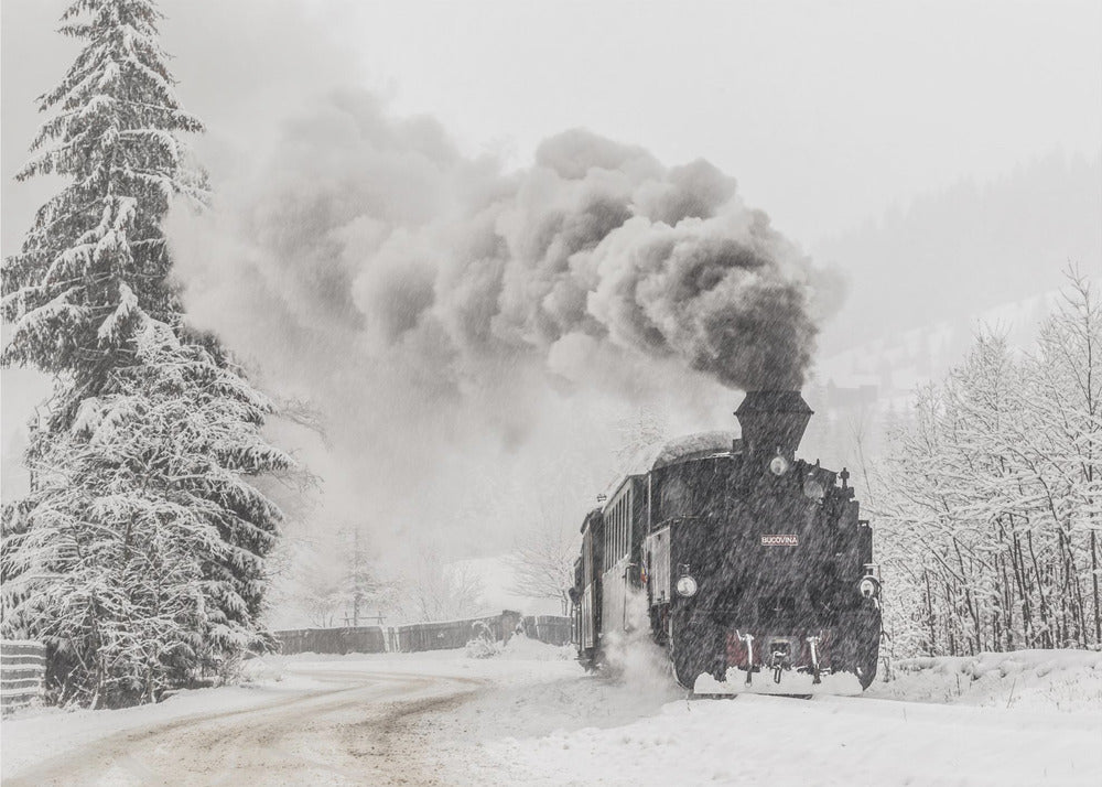 Zimowa opowieść | Fototapeta