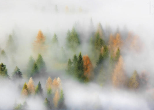 Syksyn unelma | Julisteet - Taidevedokset