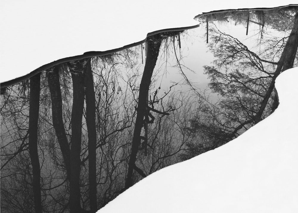 Joenranta | Canvastaulut