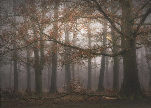 Sumuinen muisto menneisyydestä | Valokuvatapetit