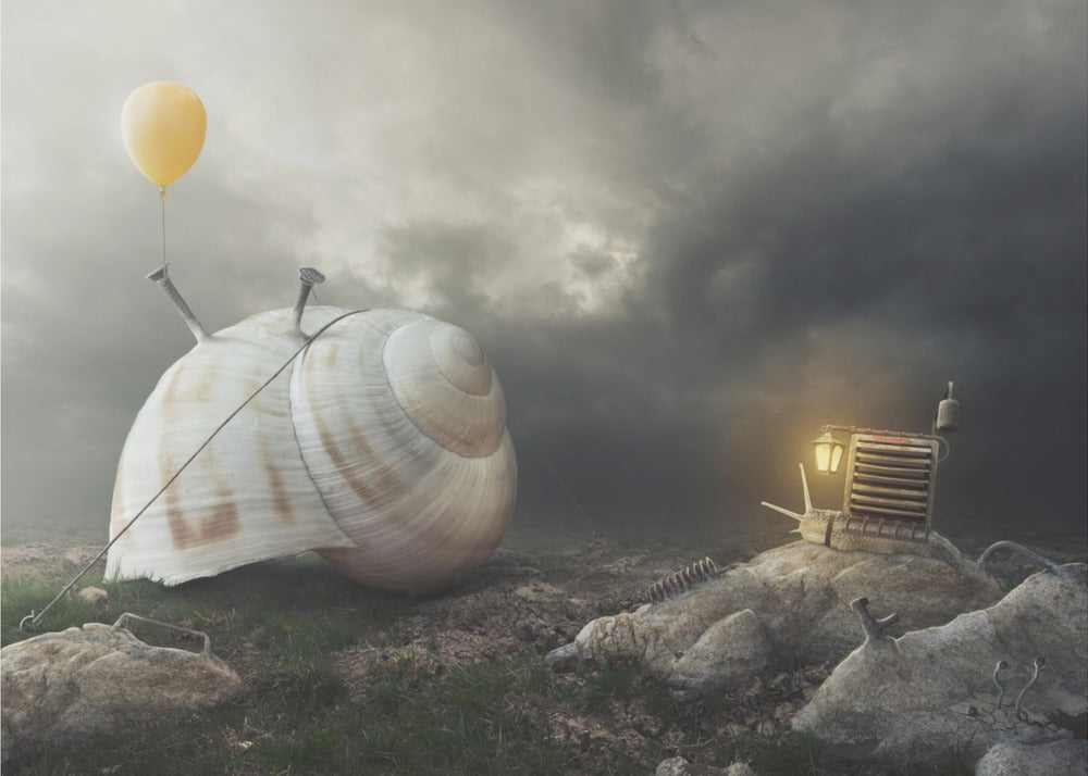 Return Back Home | Canvas