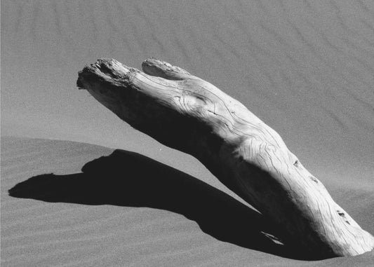 Por lo tanto | Impresiones en Lienzo