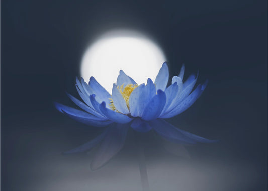 Ohikiitävä unelma | Valokuvatapetit