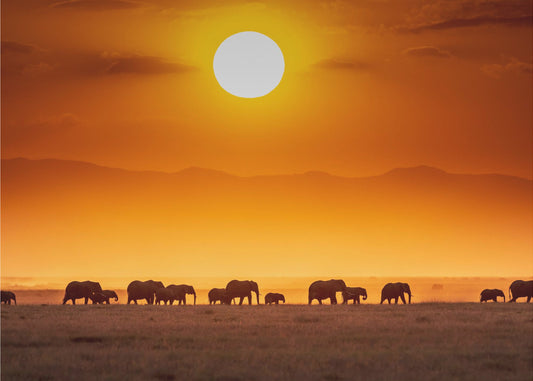 Auringonnousun paraati | Valokuvatapetit