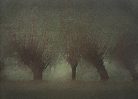 River landscape | Poster