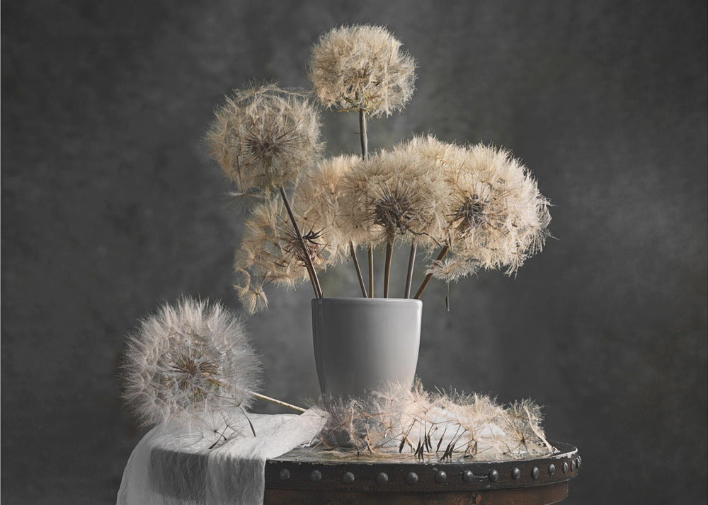 Vaina de semilla de diente de león | Papel Pintado Fotográfico